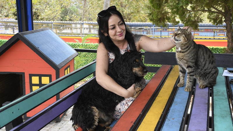 Kuşadası’nda Sokak Kedilerine Ücretsiz Kısırlaştırma Hizmeti