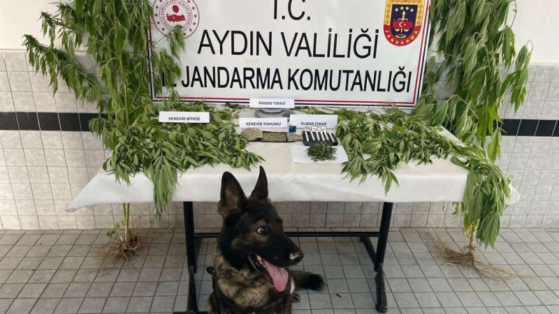Aydın'da Büyük Uyuşturucu Operasyonları Sonuç Verdi: 27 Tutuklama Yapıldı.